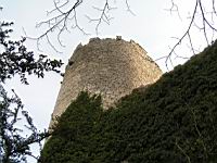 Jasseron, chateau medieval (08)